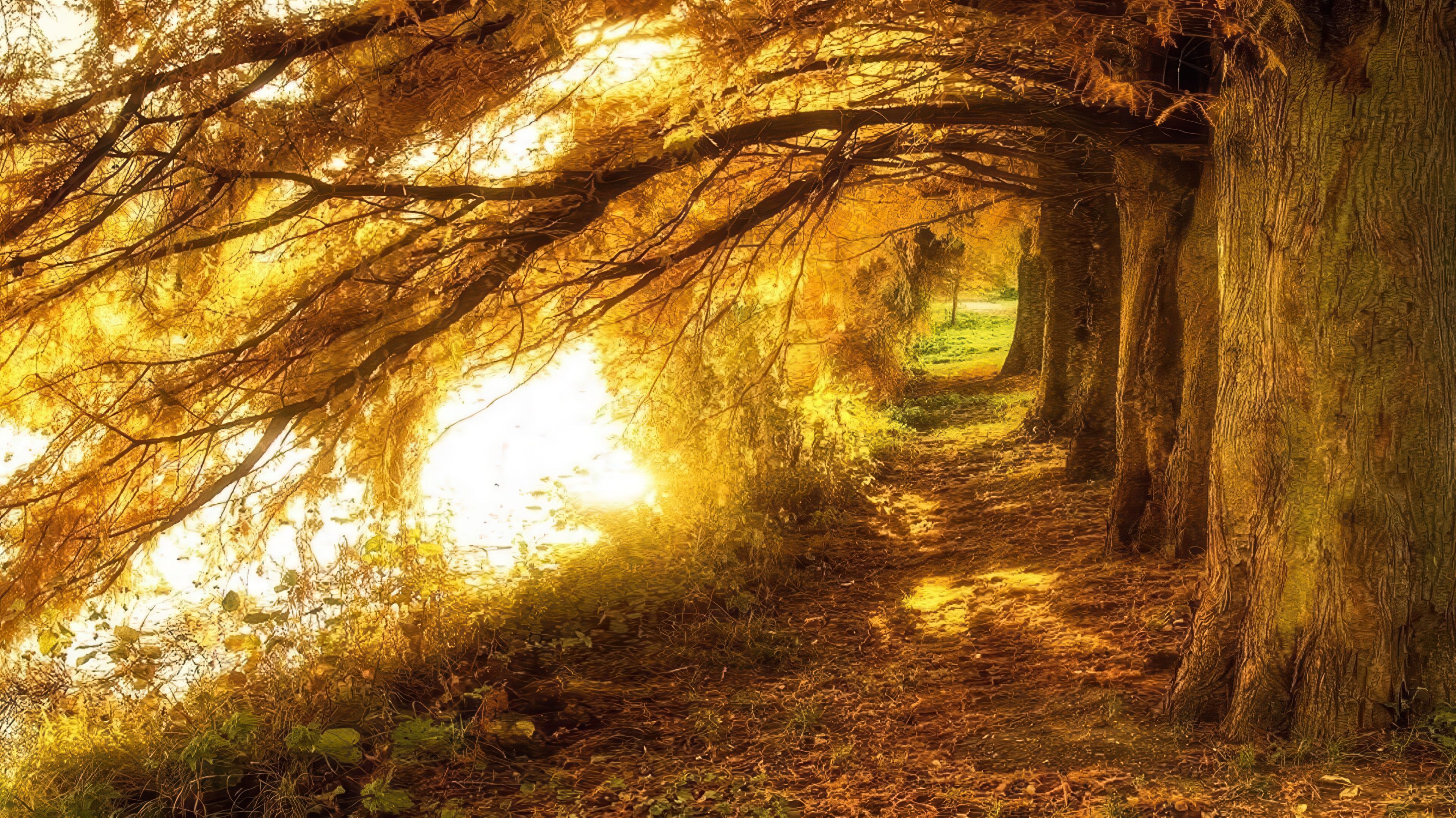 Кадастровые работы — фото